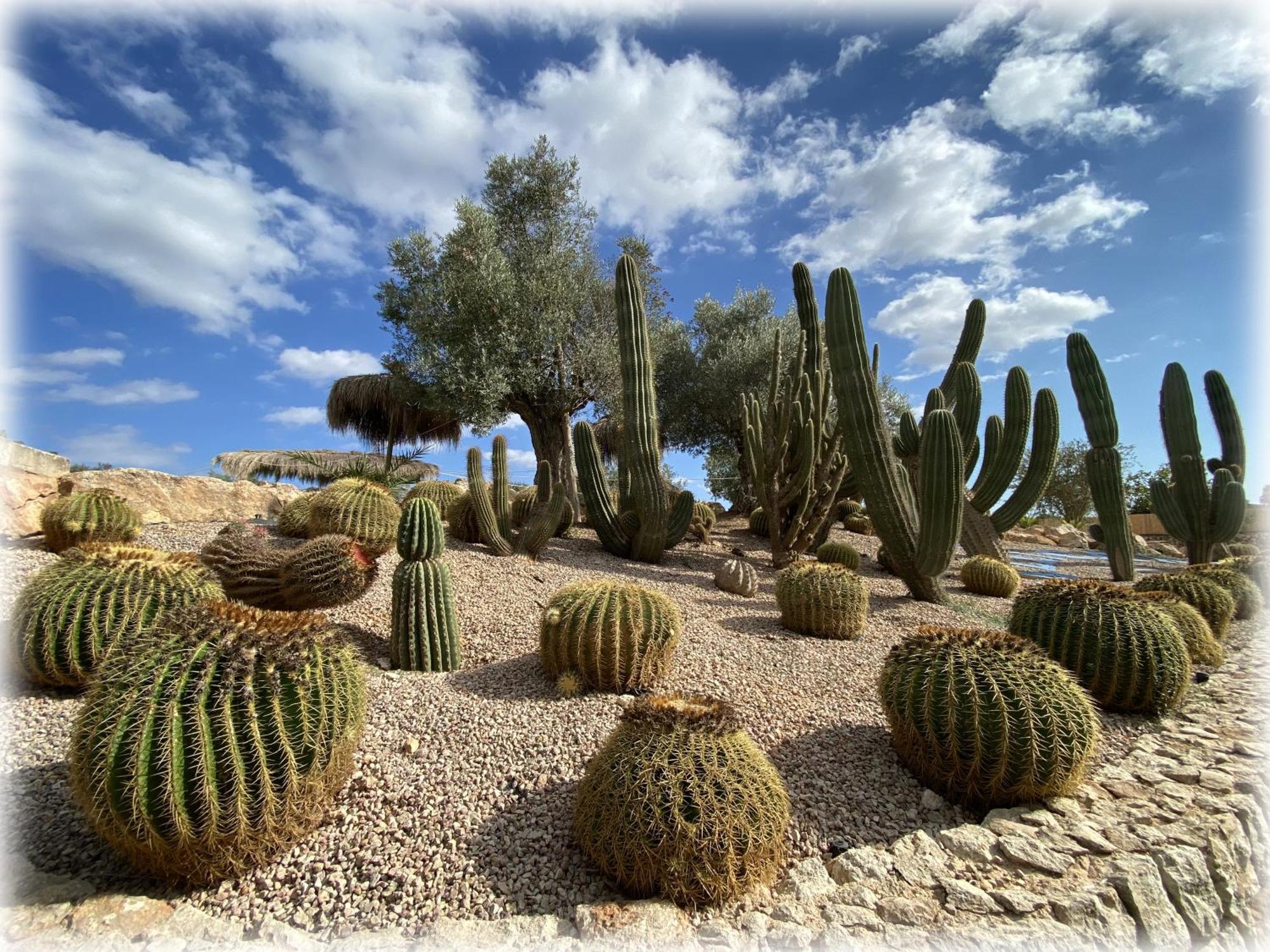 Agroturismo Es Gallicant Campos  Exterior foto