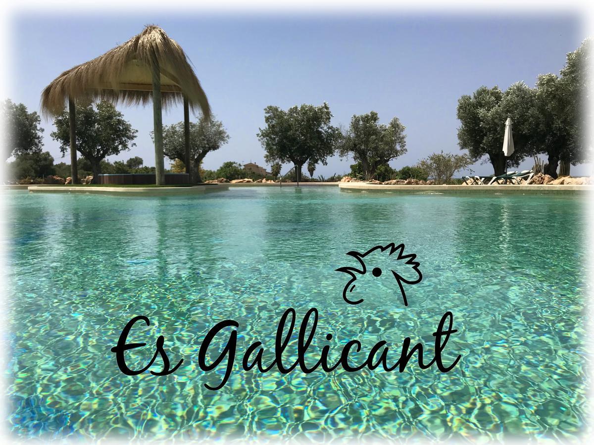 Agroturismo Es Gallicant Campos  Exterior foto