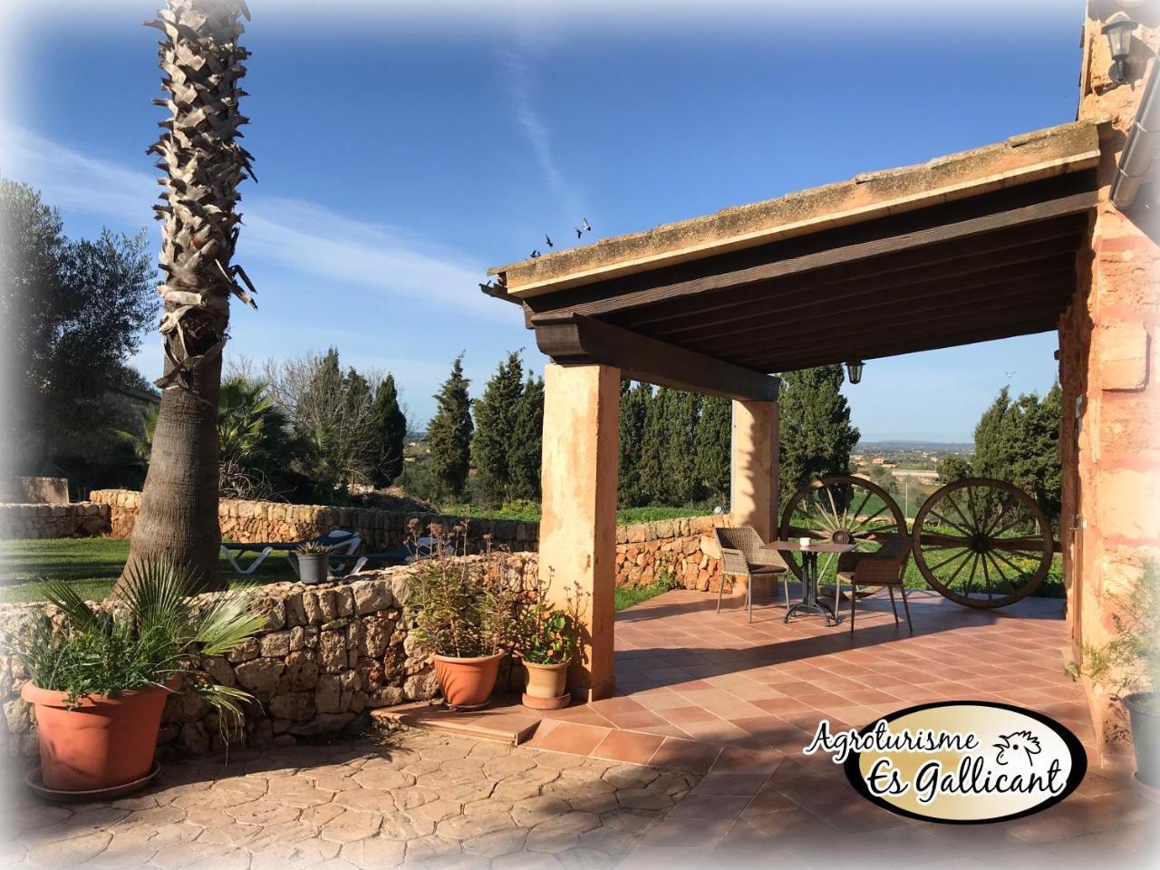 Agroturismo Es Gallicant Campos  Exterior foto